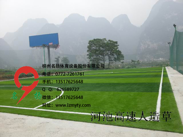 河池七人制足球場(chǎng)人造草坪