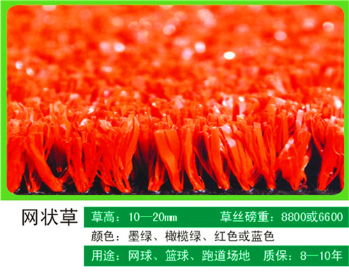 人造草廠家成冠體育 人造草廠家成冠體育
