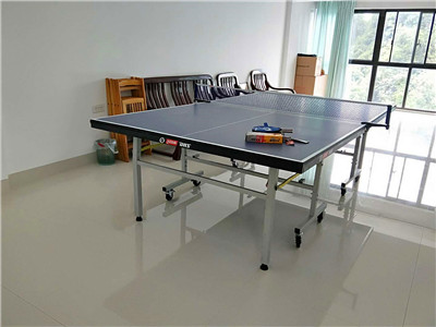乒乓球臺尺寸-乒乓球臺價格-室外乒乓球臺-室內乒乓球臺-乒乓球臺批發(fā)-成冠體育