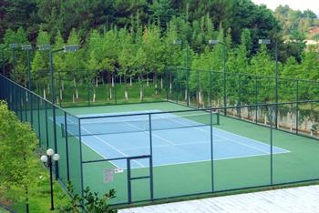 丙烯酸網(wǎng)球場(chǎng)施工 丙烯酸網(wǎng)球場(chǎng)施工