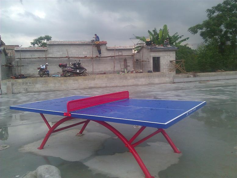 乒乓球臺(tái)市場(chǎng)